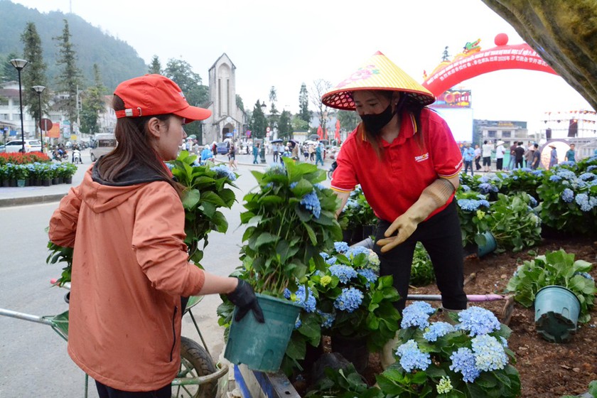 Phát động phong trào "Sa Pa Green" - Ảnh 6.