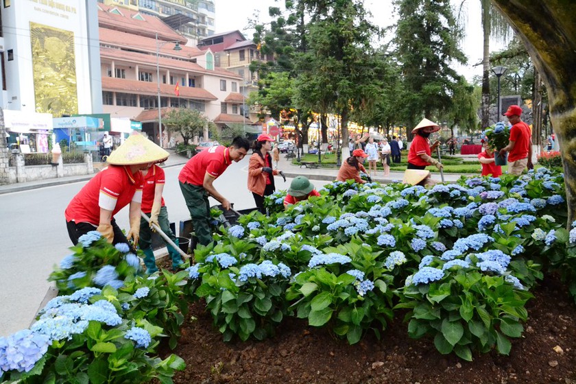 Phát động phong trào "Sa Pa Green" - Ảnh 7.