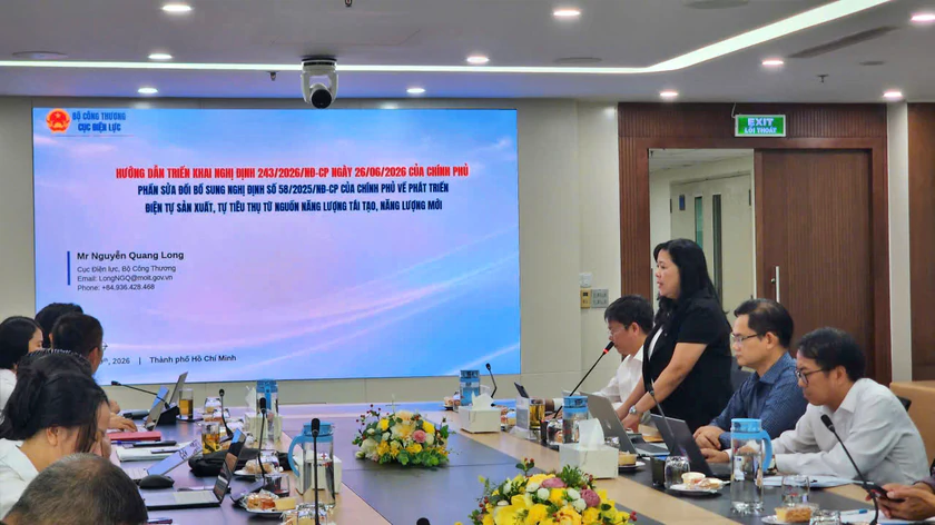 Hướng dẫn thực hiện Nghị định về điện mặt trời m&aacute;i nh&agrave; đến từng phường x&atilde; Th&agrave;nh phố Hồ Ch&iacute; Minh  - Ảnh 4.