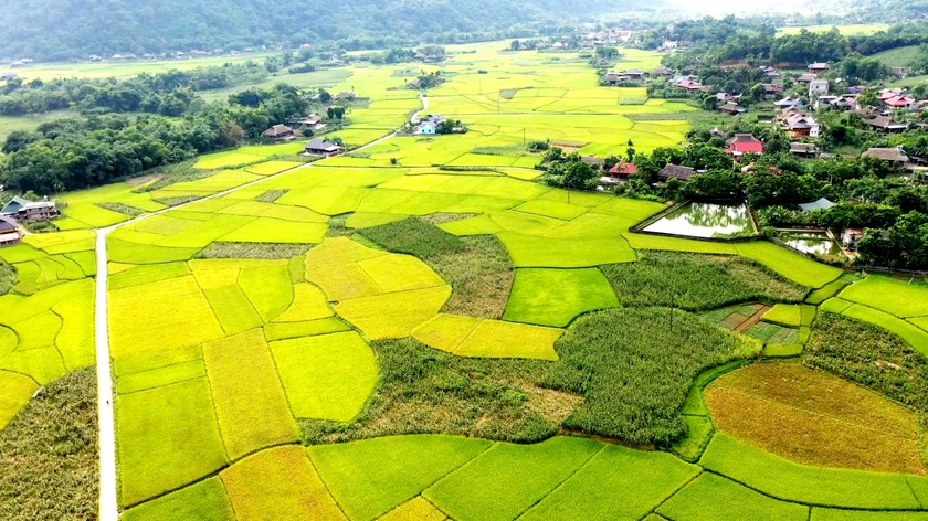 Kh&aacute;m ph&aacute; "L&agrave;ng du lịch tốt nhất" L&acirc;m Thượng - Ảnh 4.