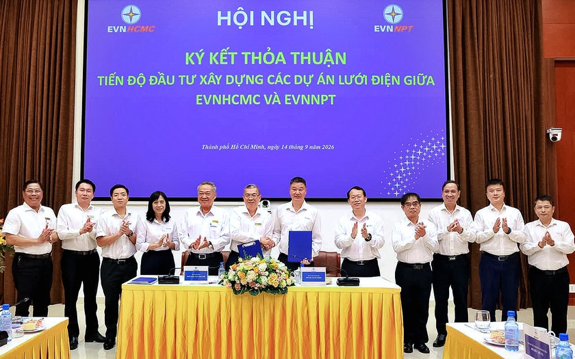 Xây dựng, đồng bộ lưới điện, bảo đảm cấp điện Thành phố Hồ Chí Minh giai đoạn 2026-2030 - Ảnh 2.