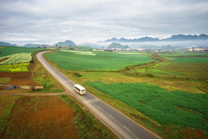 Mạch tiền - Ảnh 2.