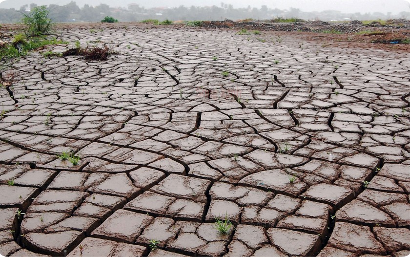 Nhiệm vụ của c&aacute;c Bộ, ng&agrave;nh ứng ph&oacute; với t&aacute;c động của El Nino - Ảnh 1.