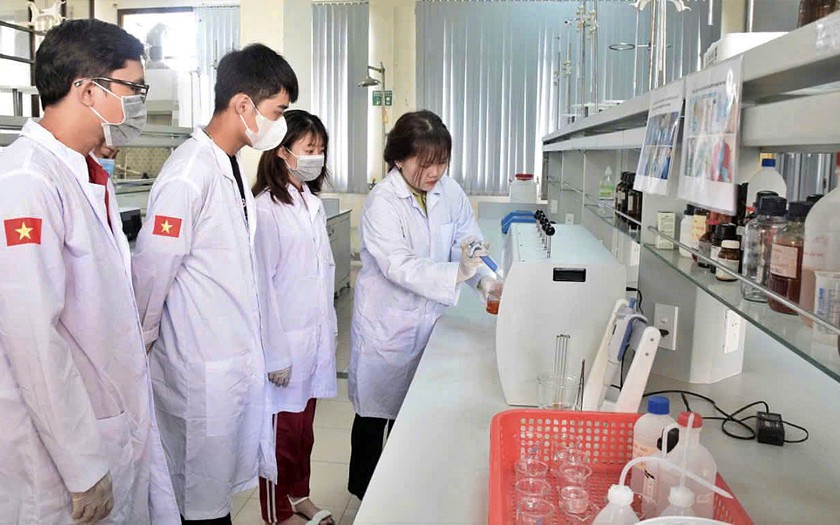 Trường Cao đẳng Kỹ nghệ II xếp hạng trường học xanh quốc tế - Ảnh 2.