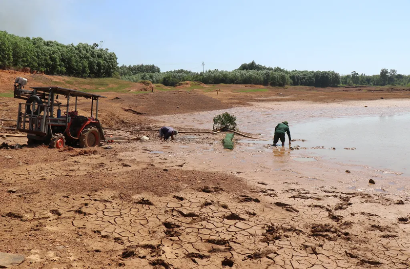 El Niño rất mạnh: Duyên hải Nam Trung Bộ, Tây Nguyên và Nam Bộ đối mặt nguy cơ thiếu nước - Ảnh 1.