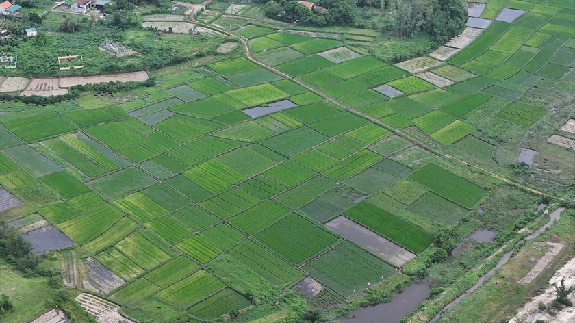 Kh&aacute;m ph&aacute; đảo Vĩnh Thực (Quảng Ninh), h&ograve;n đảo hoang sơ nhưng ẩn chứa nhiều điều th&uacute; vị - Ảnh 6.