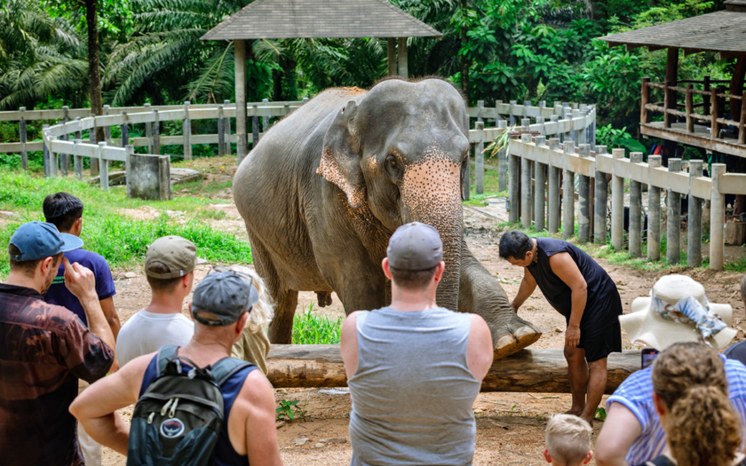 Du lịch th&aacute;ng 10: Chiang Mai v&agrave; Hội An dẫn đầu c&aacute;c địa điểm tiết kiệm ng&acirc;n s&aacute;ch kỳ nghỉ - Ảnh 3.