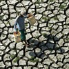 Tổ chức Khí tượng Thế giới: El Niño 2026 có thể thuộc nhóm mạnh nhất từ năm 1950