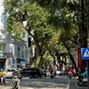 Giao thông vành đai 1 thay đổi từ 1/7/2026