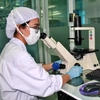 Đại học Quốc gia Thành phố Hồ Chí Minh hỗ trợ nghiên cứu sinh lên đến 560 triệu đồng