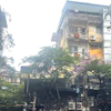 Những mùa bình thường ở khu tập thể cũ