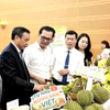 Lễ hội Sầu riêng Đắk Lắk năm 2026 với chủ đề "Sầu riêng Đắk Lắk - Kết nối vươn xa"