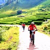 Thơ mộng đường đua giữa mây ngàn và sóng lúa vàng Mường Bo