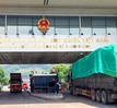 Lào Cai đẩy mạnh hoạt động xuất - nhập khẩu, phát huy vai trò cầu nối biên mậu