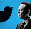 Elon Musk khoe thành tích mới của Twitter