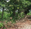 Hà Nội: Công viên hơn 70 tỉ bị bỏ hoang, chờ ngày được "giải cứu"
