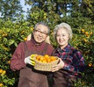 Nhật Bản ghi nhận kỷ lục mới về số người cao tuổi: Bí quyết sống thọ ở đất nước Mặt Trời mọc