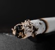 Hút thuốc lá cản trở hoạt động của các protein chống ung thư, khiến việc điều trị bệnh trở nên khó khăn hơn