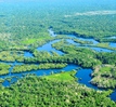 Brazil phun khí CO2 vào rừng Amazon để mô phỏng biến đổi khí hậu