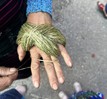 Đôi bàn tay mẹ
