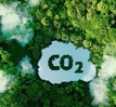 Ra mắt sàn giao dịch tín chỉ carbon đầu tiên tại Việt Nam