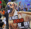Lý do Hàn Quốc thông qua dự luật cấm sản xuất và buôn bán thịt chó