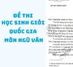 Đề thi học sinh giỏi quốc gia môn Ngữ văn trùng đề trên mạng Internet?