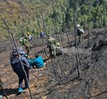 Cháy rừng ở Sa Pa: Hoàn toàn dập tắt các điểm cháy trong Vườn quốc gia Hoàng Liên