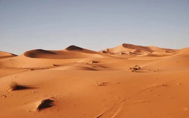 Công nghệ mới biến cát sa mạc thành đất màu mỡ chỉ trong 7 tiếng