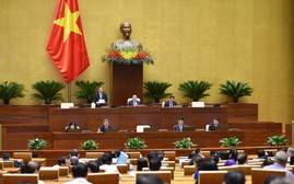 Sửa đổi Luật Giao dịch điện tử theo nguyên tắc “thực sao số vậy” và “số phải phong phú hơn thực”