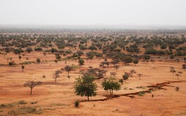 COP27: Thúc đẩy sáng kiến biến sa mạc thành năng lượng tại châu Phi