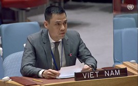 Việt Nam kêu gọi chấm dứt xung đột tại Ukraine