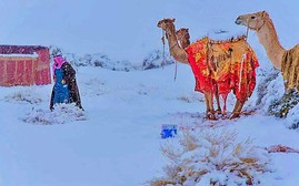 Du lịch mùa World Cup 2022: “Săn tuyết sa mạc” Trung Đông
