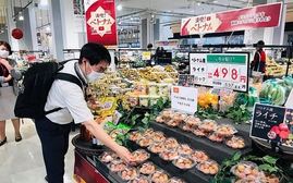 Xuất khẩu sang Nhật: bước tiếp dễ dàng ra thị trường thế giới