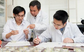 Nhà khoa học Việt phân lập chất ức chế ung thư máu từ vỏ trấu