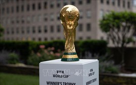 Đội vô địch World Cup 2022 sẽ nhận 42 triệu USD tiền thưởng