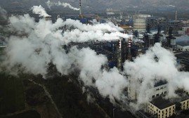 WHO: Số người thiệt mạng hàng năm do ô nhiễm không khí gia tăng