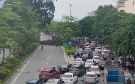 Hà Nội: Giao thông tại đường Võ Chí Công tê liệt vì cây đổ chắn đường