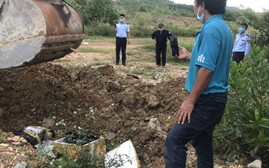 Tăng cường kiểm tra xử lý hành vi kinh doanh buôn bán hàng hóa không rõ nguồn gốc xuất xứ