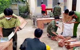 Không có vùng cấm trong chống buôn lậu, gian lận thương mại và hàng giả 