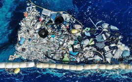 Những mô hình xanh giảm thiểu ô nhiễm trắng đại dương, biến rác thành tiền