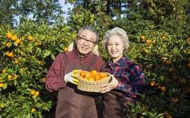 Nhật Bản ghi nhận kỷ lục mới về số người cao tuổi: Bí quyết sống thọ ở đất nước Mặt Trời mọc