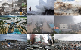 Chùm ảnh cơn bão mạnh nhất trong nhiều năm qua đổ bộ vào Hàn Quốc