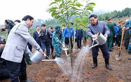 Thủ tướng Phạm Minh Chính phát động Tết trồng cây
