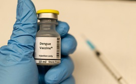 Những điều cần biết về vaccine phòng bệnh sốt xuất huyết sắp có ở Việt Nam