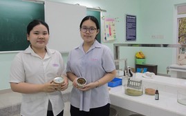 Hai nữ sinh lớp 9 tìm ra cách đuổi muỗi bằng nụ hương tinh dầu bạch đàn