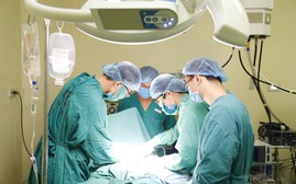 Lập Hội đồng Nhà nước xét tặng danh hiệu "Thầy thuốc Nhân dân", "Thầy thuốc Ưu tú" lần thứ 14