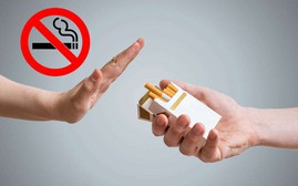 Thành phố Hồ Chí Minh: Tăng cường giáo dục phòng ngừa thuốc lá trong trường học