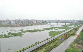 Lần đầu tiên Việt Nam ứng dụng trí tuệ nhân tạo trong kiểm soát chất lượng nước mặt lưu vực sông