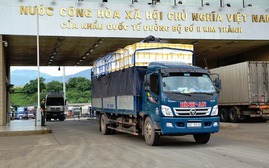 Xuất khẩu hơn 2.000 tấn quả vải tươi chín sớm qua Cửa khẩu Lào Cai